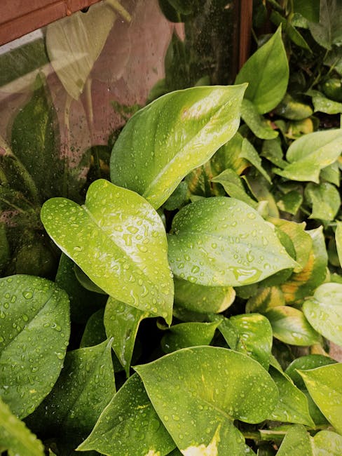 Botanical garden Pisa greenhouse plants closeup