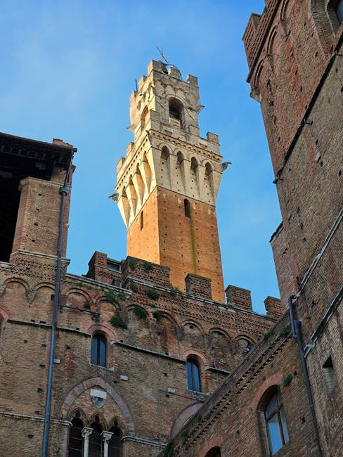 Siena Piazza del Campo afternoon