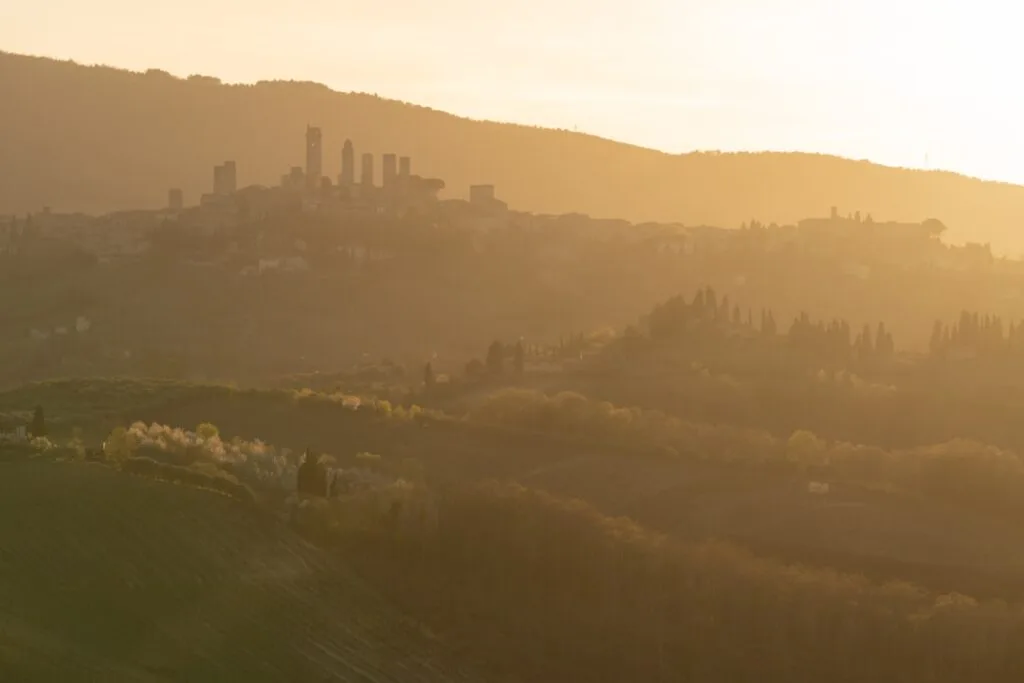 Zarys San Gimignano na wzgórzu skąpany w złotej zachodniej poświacie